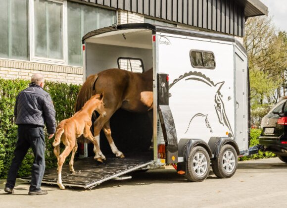 Pferd Kunststoffpferd deals Pferdeanhänger Reitsport